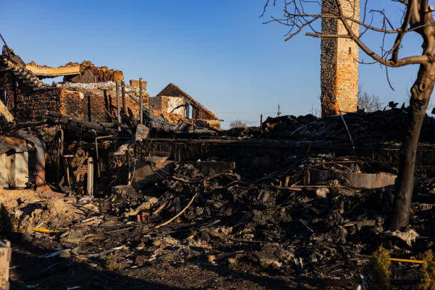 Reliable Fire Damage Restoration contractor in Gibsonton, FL by Fire Damage Doption